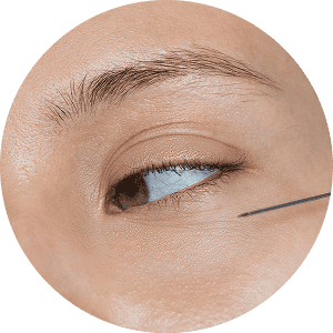 eyelid