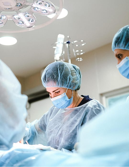 labiaplasty 